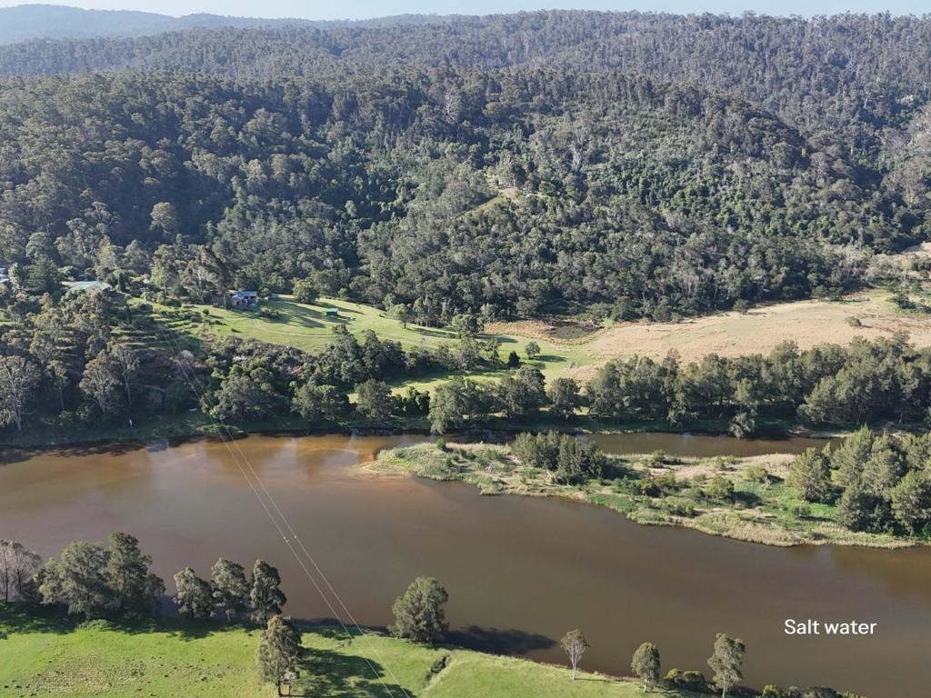 732 Reedy Swamp Rd, Chinnock, NSW 2550