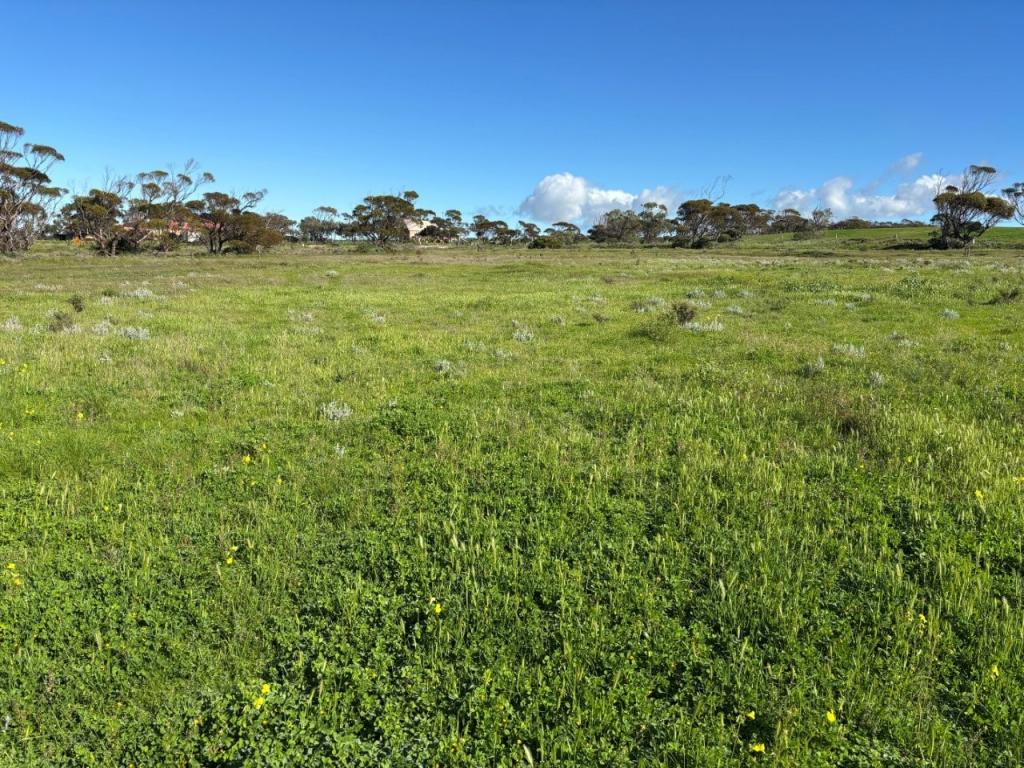Lot 97 Wildman Rd, Cowell, SA 5602