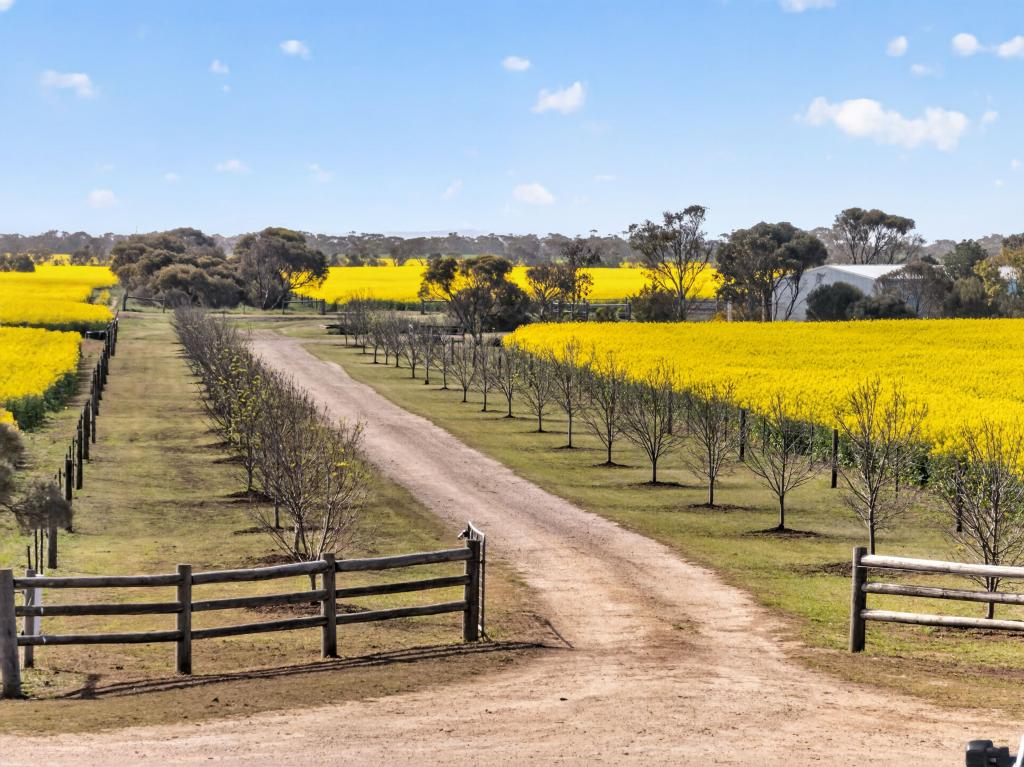590 Echo Park Rd, Nurragi, SA 5256