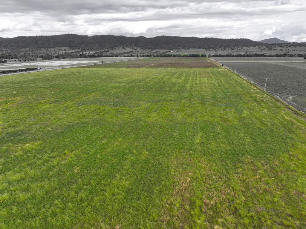 Contact Agent For Address, Segenhoe, NSW 2337
