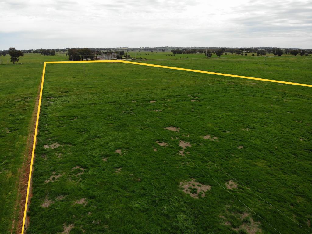 Lot 5/262 Whitehead St, Corowa, NSW 2646