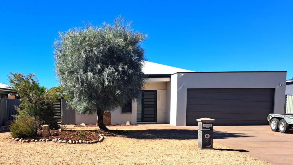 3 Wright Pl, Larapinta, NT 0875