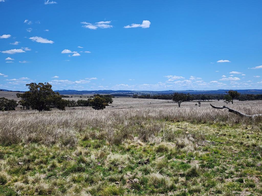 Lot 11 Pikedale Lane, Pikedale, QLD 4380