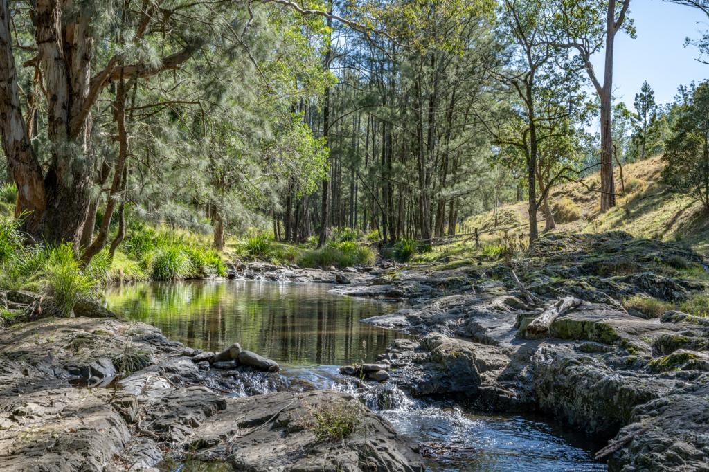 1333 Bowman River Rd, Bowman, NSW 2422