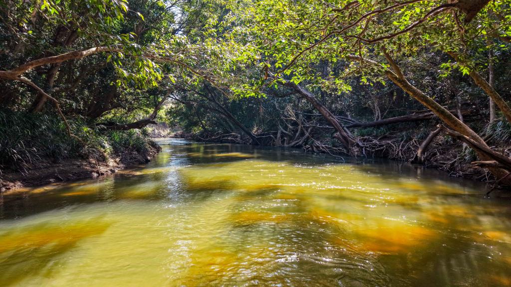 493 Bilwon Rd, Biboohra, QLD 4880