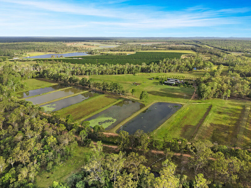 409 Webbs Rd, Abington, QLD 4660