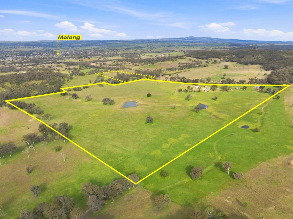 136 Nyora Lane, Molong, NSW 2866