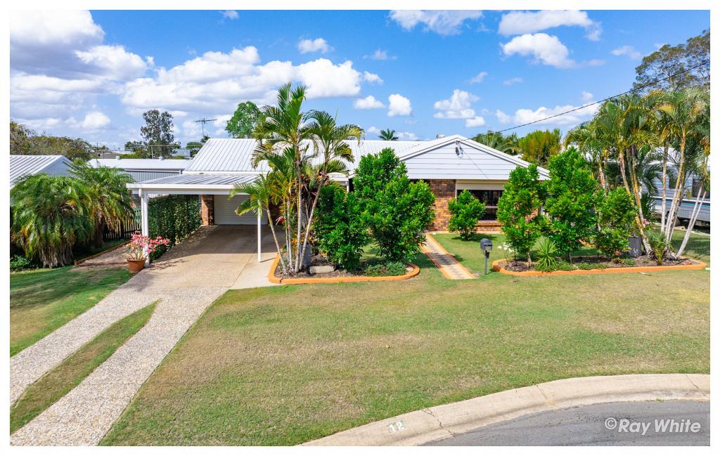 12 Mallet Cl, Gracemere, QLD 4702