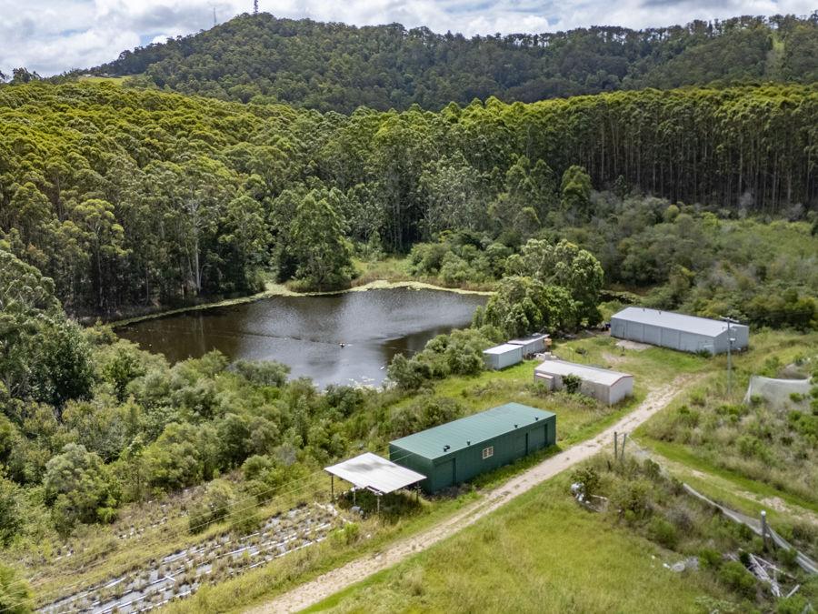 212 Range Rd, Halfway Creek, NSW 2460