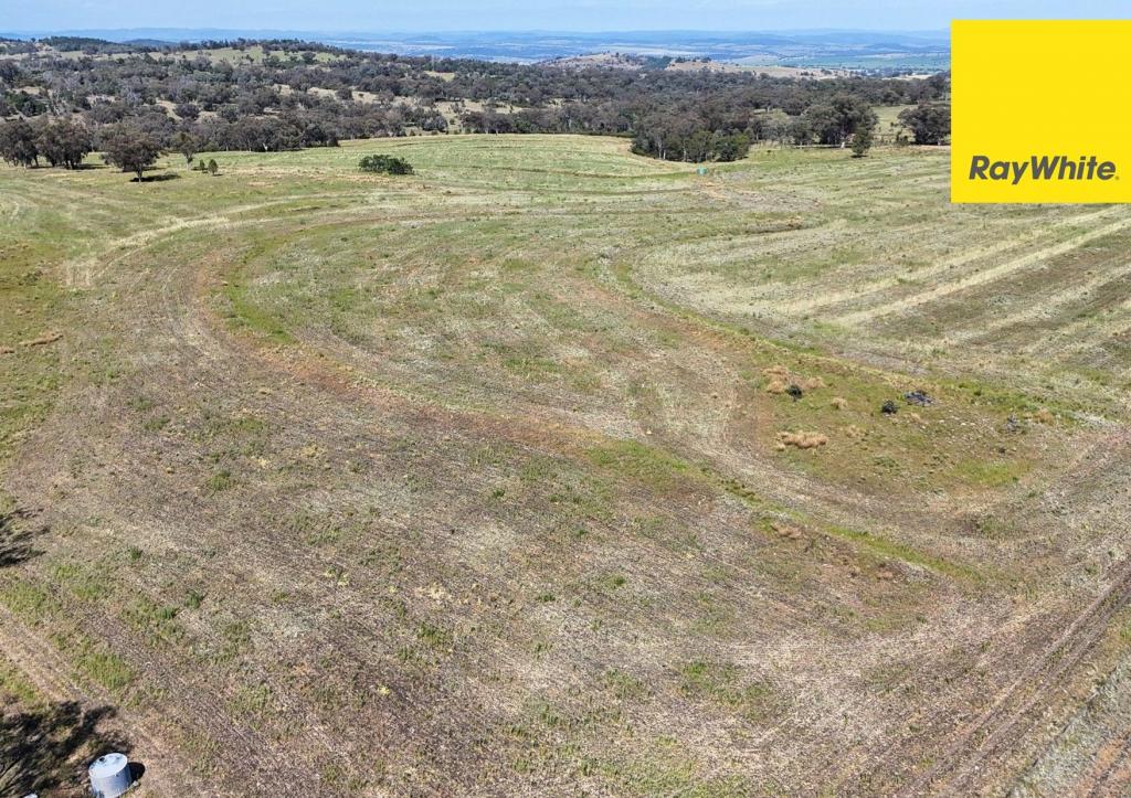 600 Blyths Lane, Delungra, NSW 2403