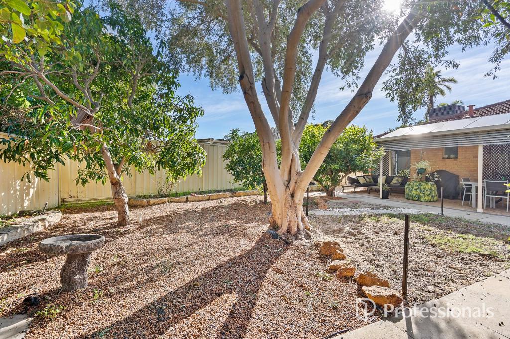 40 Waterlily Dr, Stratton, WA 6056