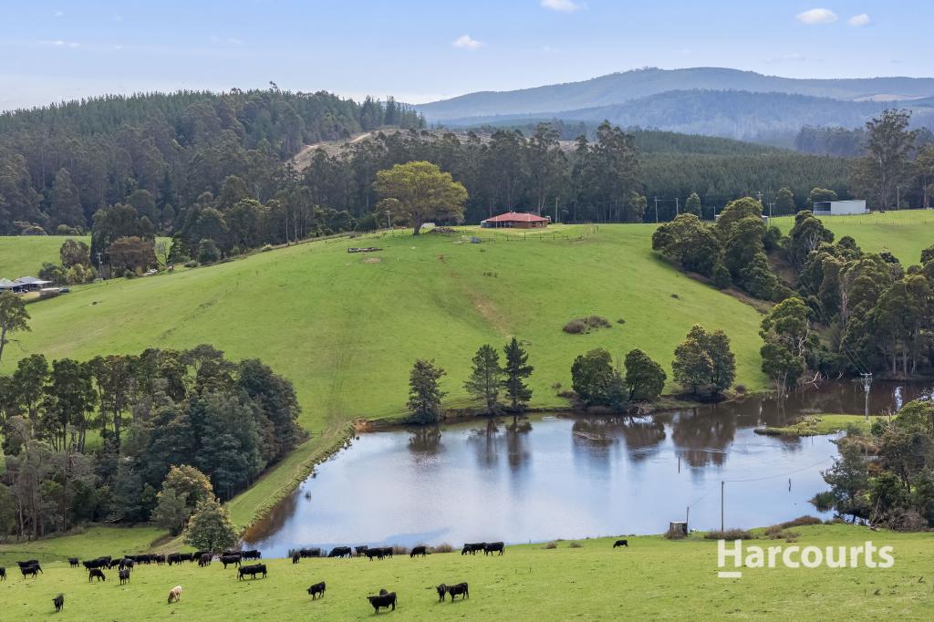 244 KAMONA RD, KAMONA, TAS 7260