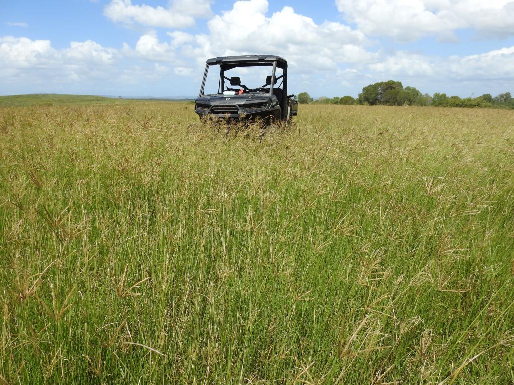 Lot 119 Ellangowan Myrtle Creek Rd, Ellangowan, NSW 2470