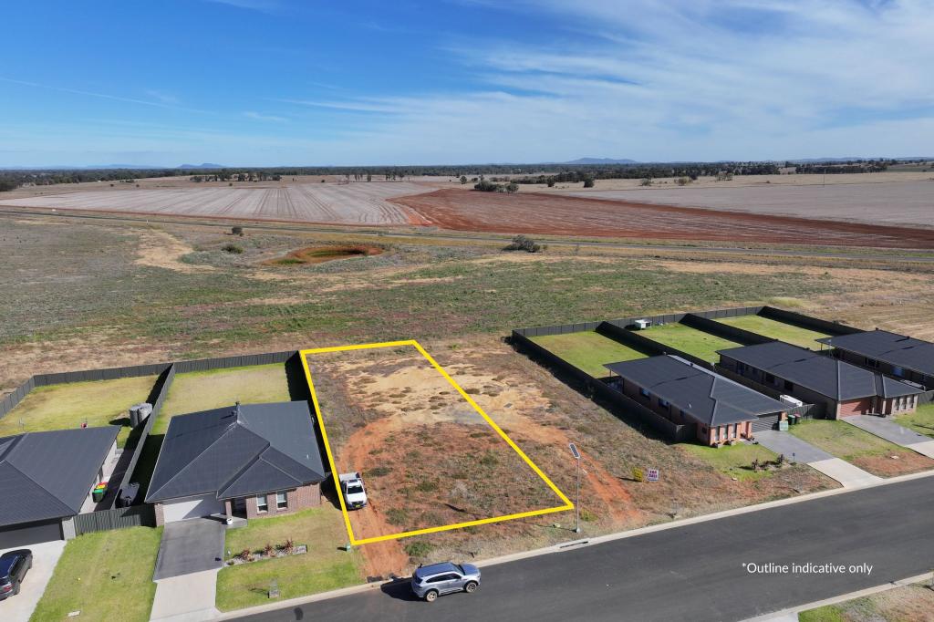 31 Federation Bvd, Forbes, NSW 2871
