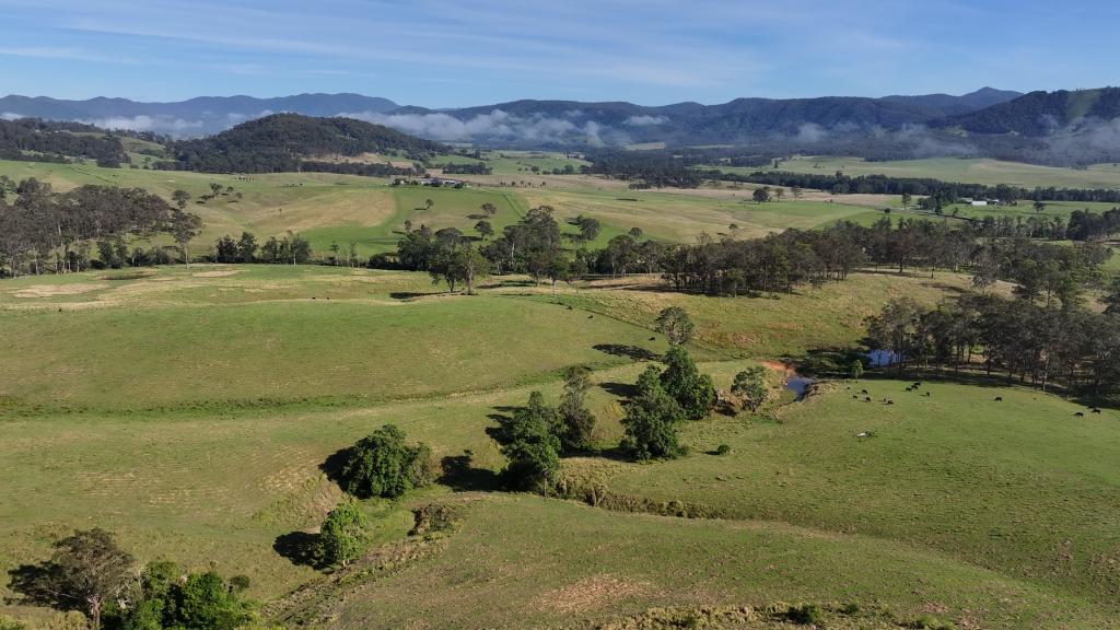 5887 Oxley Hwy, Ellenborough, NSW 2446