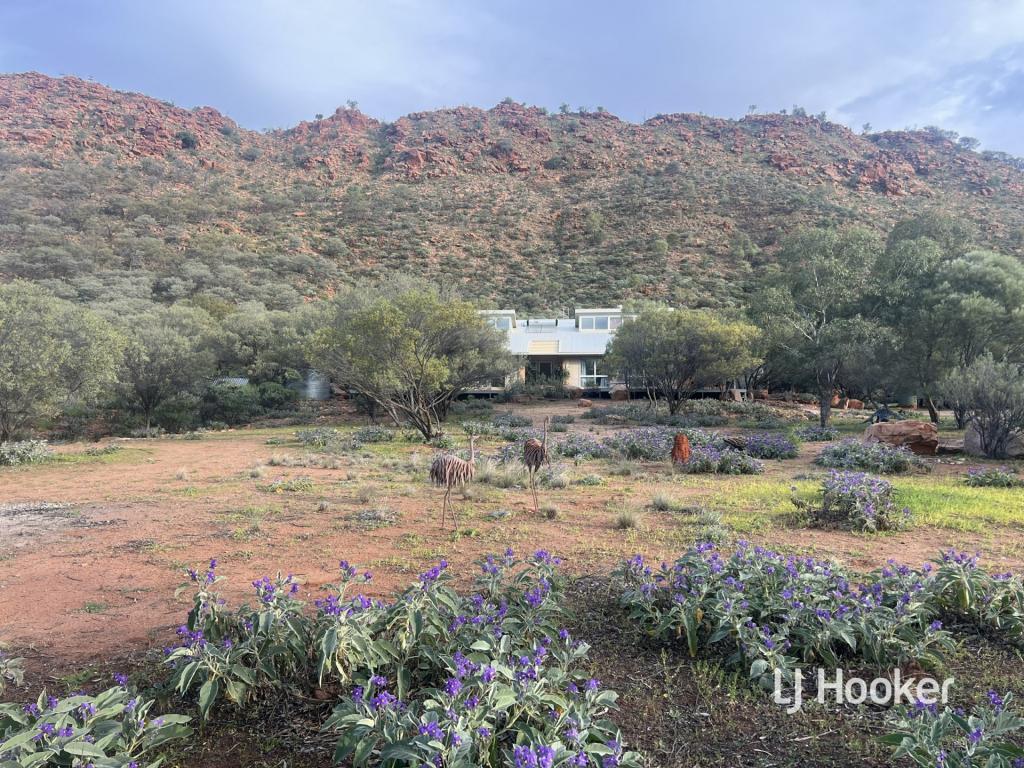 989 Ilparpa Rd, White Gums, NT 0870