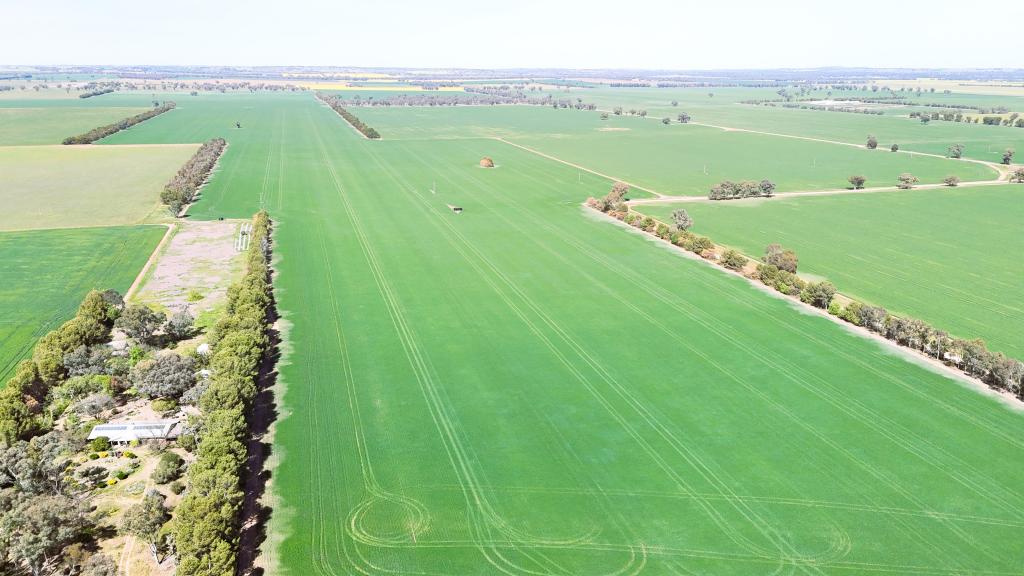 1063 Old Forbes Rd, Kikiamah, NSW 2594