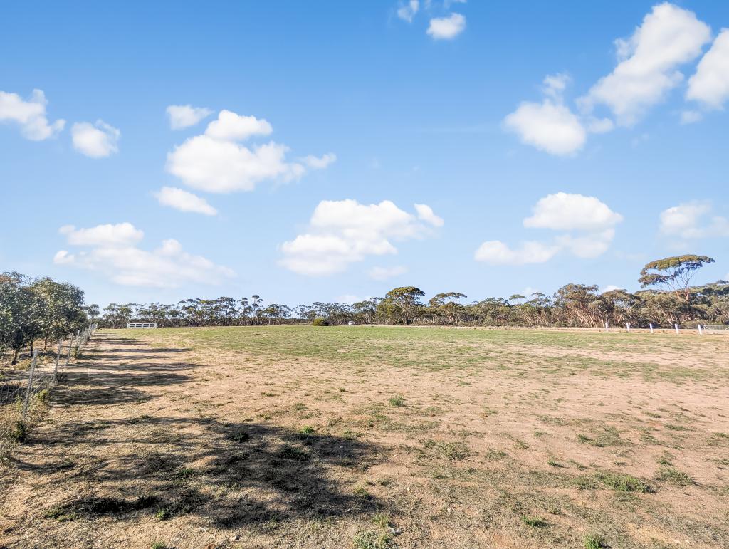 41 MAIOLO WAY, MERREDIN, WA 6415