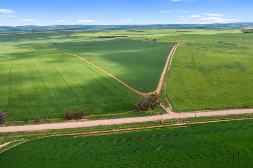 267 Boucaut Rd, Brinkworth, SA 5464