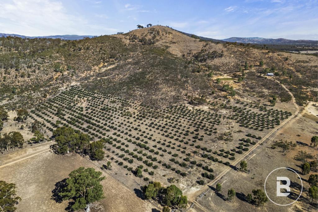 3320 Ararat - St Arnaud Rd, Navarre, VIC 3384