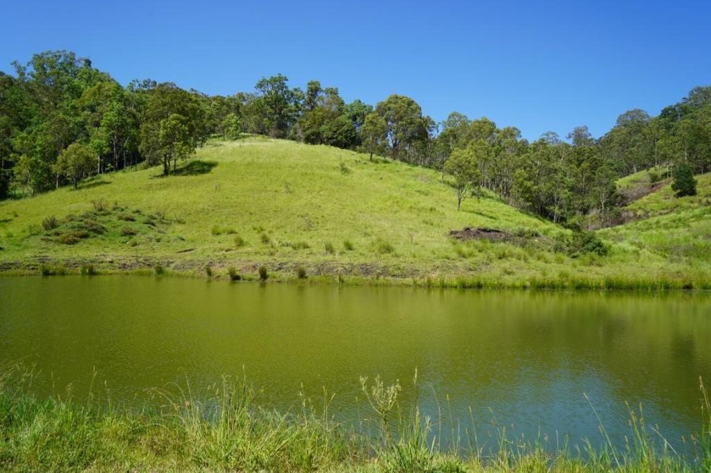 LOT 10 WYNDHAM ST, KYOGLE, NSW 2474