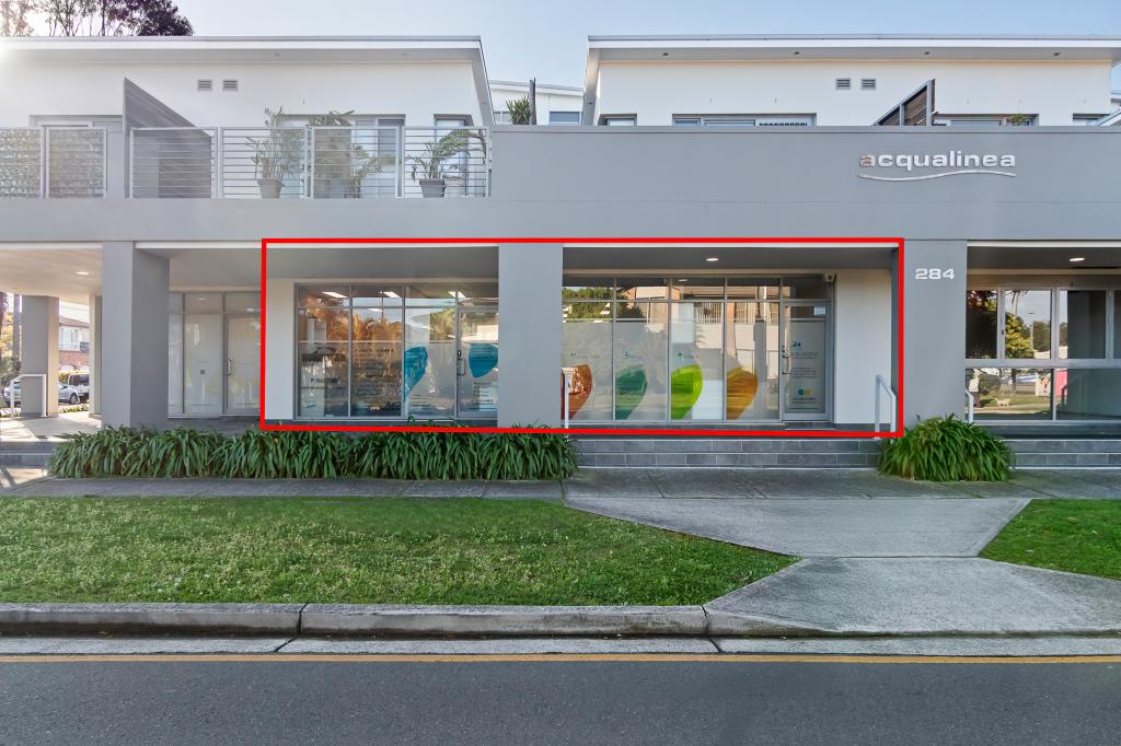 2&3/284 BELGRAVE ESP, SYLVANIA WATERS, NSW 2224