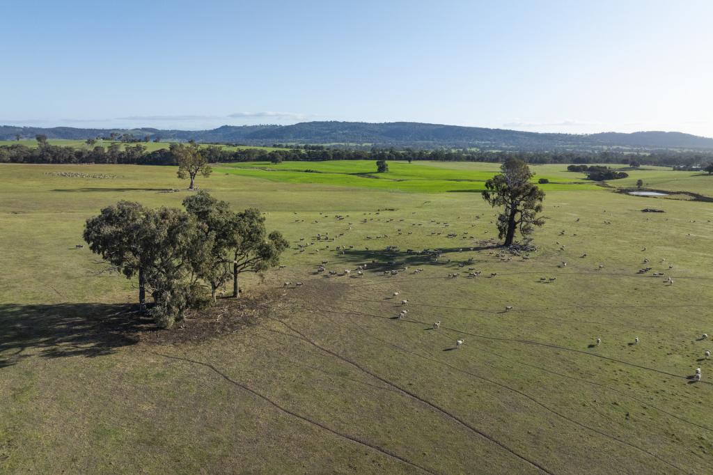  Longwood-Mansfield Rd, Creightons Creek, VIC 3666