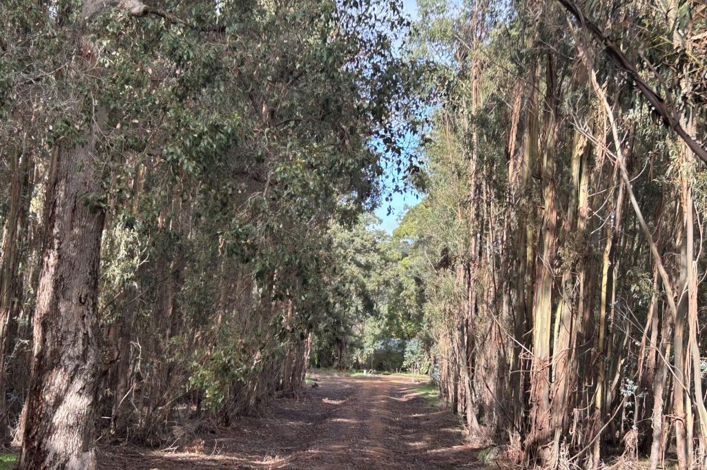 Lot 3 Bramley River Rd, Osmington, WA 6285