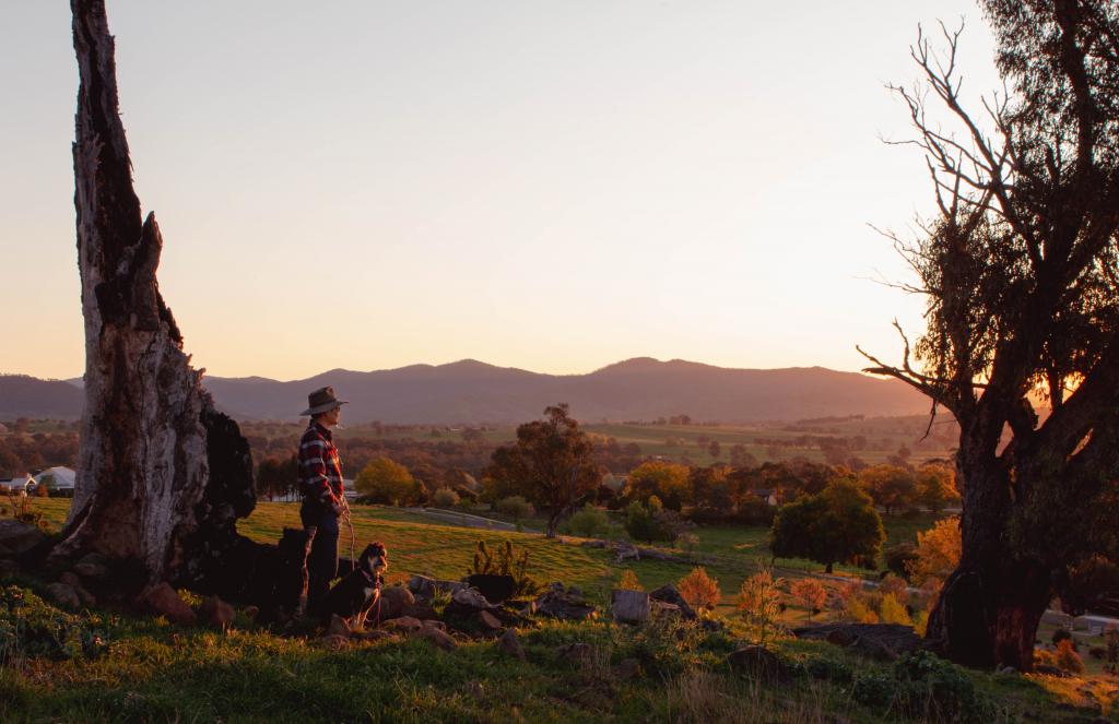 25 Jephcott Ave, Corryong, VIC 3707