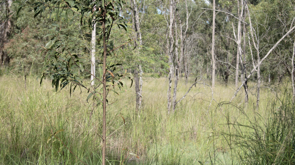 Lot 2 Burnett Hwy, Eidsvold, QLD 4627