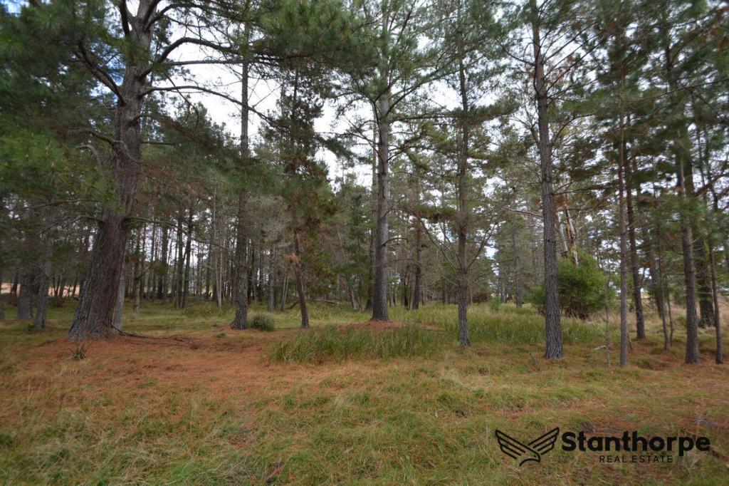 225 Sunrise Rd, Sugarloaf, QLD 4380