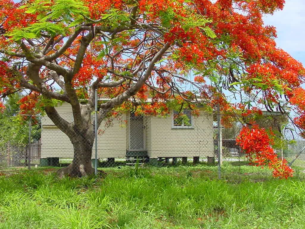 79 Oaka Lane, Gladstone Central, QLD 4680