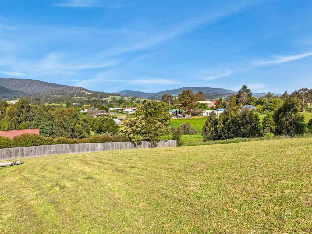 17 DORGAN CT, CYGNET, TAS 7112