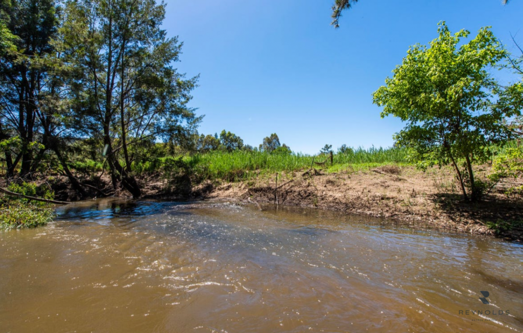 306 MELROSE RD, MULLAMUDDY, NSW 2850