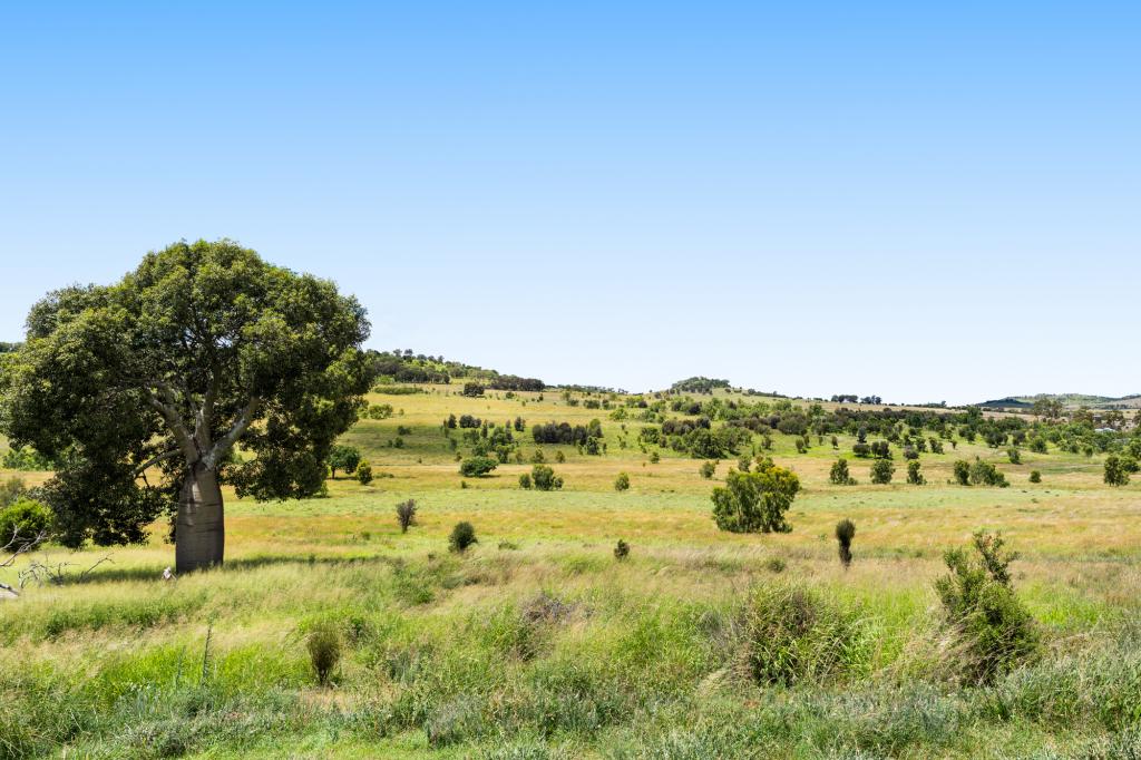 697 Bunya Mountains-Maclagan Rd, Maclagan, QLD 4352