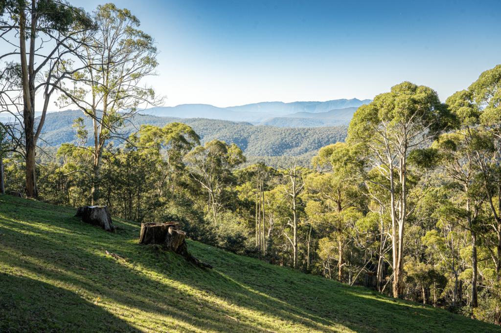 81 Gears Hill Rd, Tolmie, VIC 3723