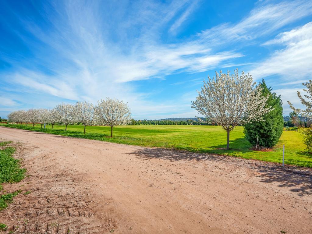 110d Calabria Rd, Griffith, NSW 2680