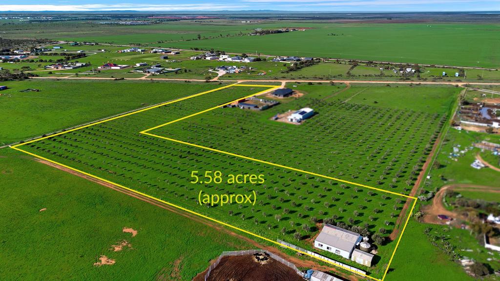 104 Schutt Rd, Dublin, SA 5501
