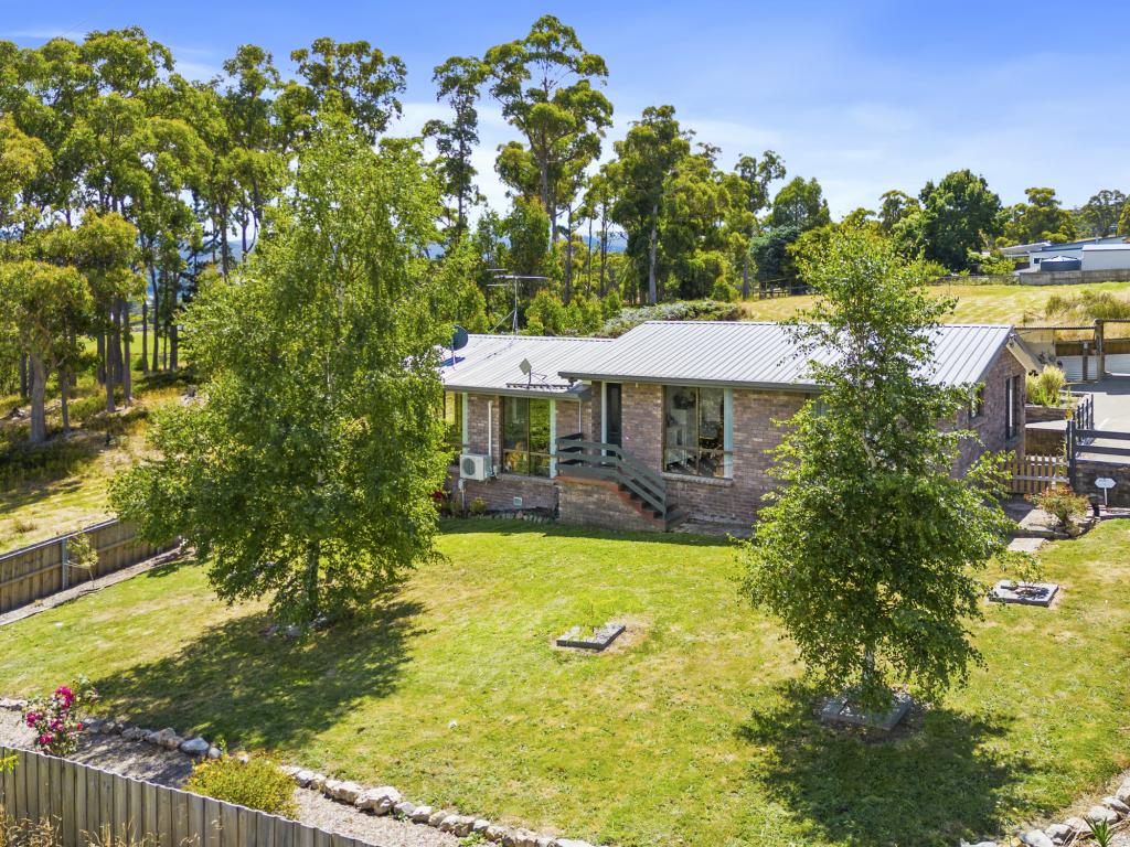 45 DOWLINGS RD, HUONVILLE, TAS 7109