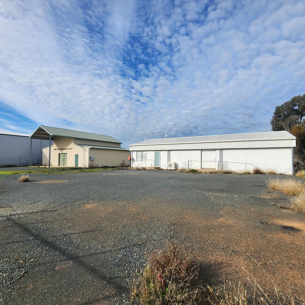 3 Calleen St, West Wyalong, NSW 2671